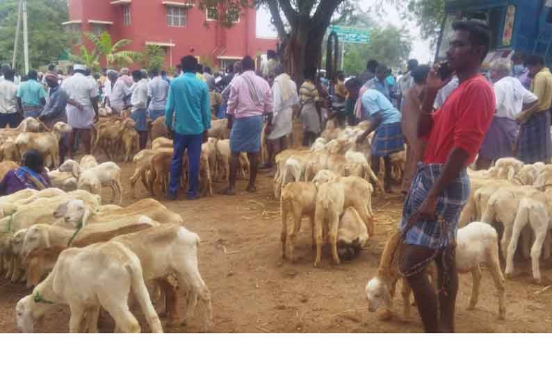 கொங்கணாபுரம் வாரச்சந்தையில் ரூ.6 கோடிக்கு வர்த்தகம்