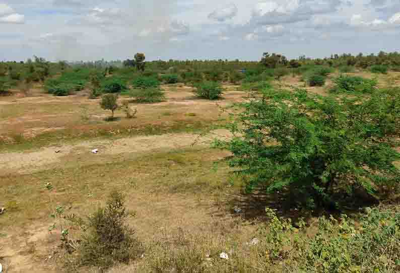 சுட்டெரிக்குது வெயில் கறம்பக்குடி பகுதியில் ஏரி, குளங்கள் வறண்டன தண்ணீர் இன்றி கால்நடைகள் தவிப்பு