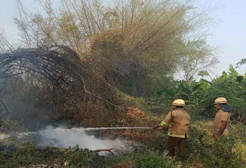 மூங்கில் காட்டில் திடீர் ‘தீ’