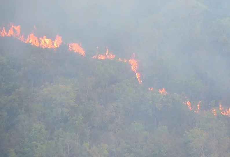 கொடைக்கானல் வனப்பகுதியில் மீண்டும் காட்டுத்தீ