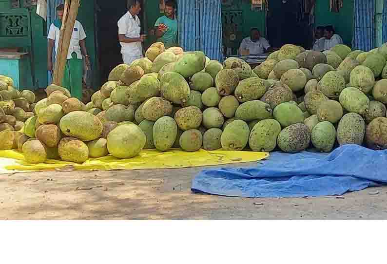 வடகாடு பகுதியில்  பலாப்பழங்கள் விற்பனை மும்முரம்