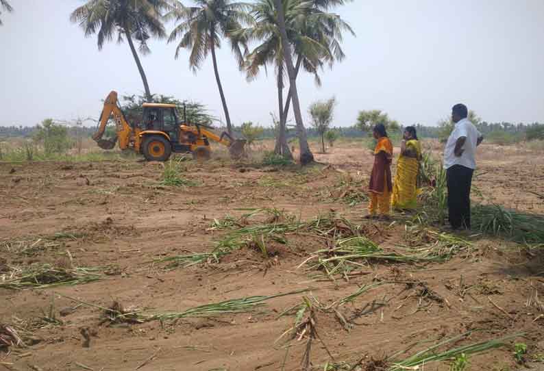 ஜேடர்பாளையம் அருகே காவிரி ஆற்றை ஆக்கிரமித்து சாகுபடி செய்யப்பட்ட பயிர்கள் அழிப்பு-வருவாய்த்துறையினர் நடவடிக்கை