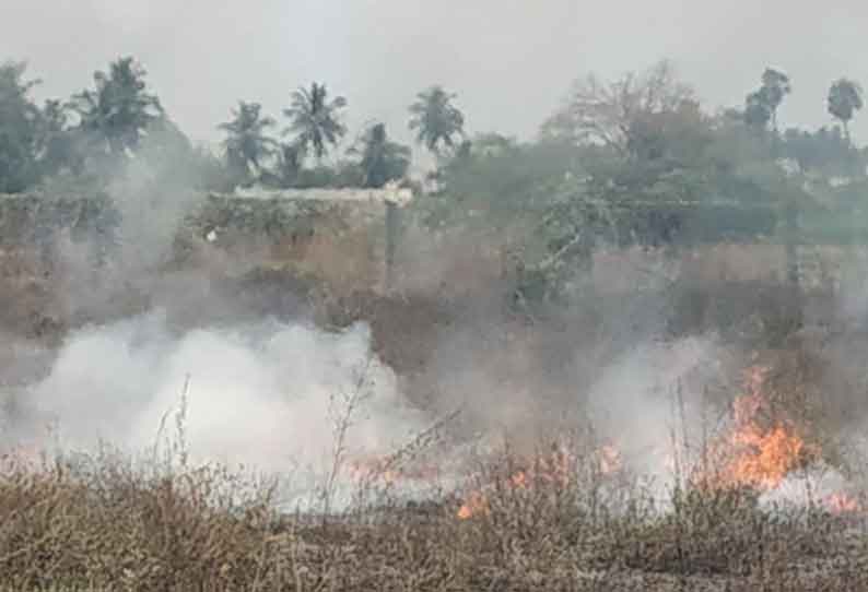 குடியிருப்பு பகுதியில் ஏற்பட்ட  தீயை அணைத்த பொதுமக்கள்