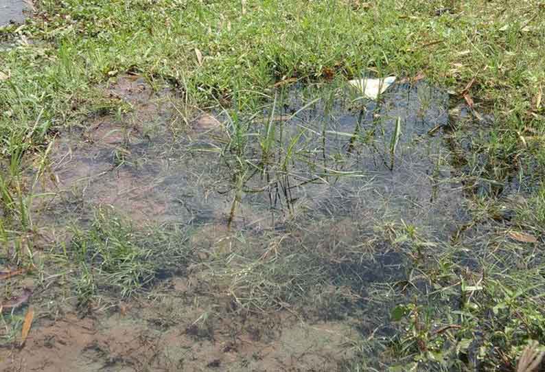 கூட்டு குடிநீர் குழாயில் உடைப்பு