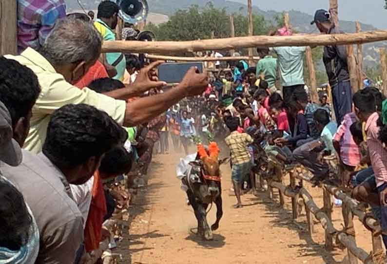 வேப்பனப்பள்ளி அருகே எருது விடும் விழா