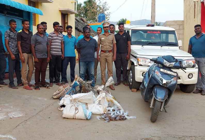 வாணியம்பாடியில் வீட்டில் பதுக்கி வைக்கப்பட்டிருந்த 13 மூட்டை சாராயம் பறிமுதல்