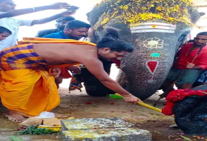 சங்கரநாராயண சுவாமி கோவில் யானை பிடிமண் எடுக்கும் நிகழ்ச்சி