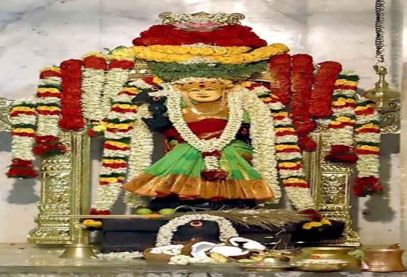 கிணத்துக்கடவு அருகே மீனாட்சி அம்மன் கோவில் கும்பாபிஷேகம்