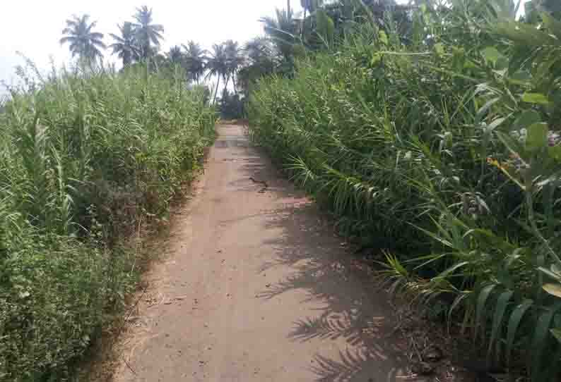 புகழூர் வாய்க்கால் கரையோரம் வளர்ந்துள்ள செடி, கொடிகளை அகற்ற கோரிக்கை