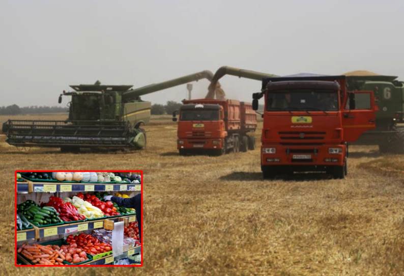 உக்ரைன் போரால் உலக உணவு விலை சராசரி குறியீடு கடந்த மார்ச்சில் 13% உயர்வு