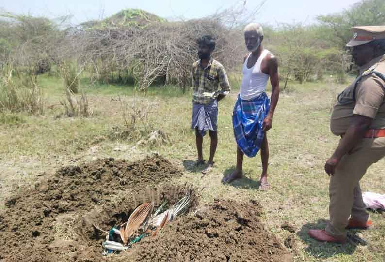 ஏரியில் மர்மமான முறையில் இறந்து கிடந்த 7 மயில்கள்