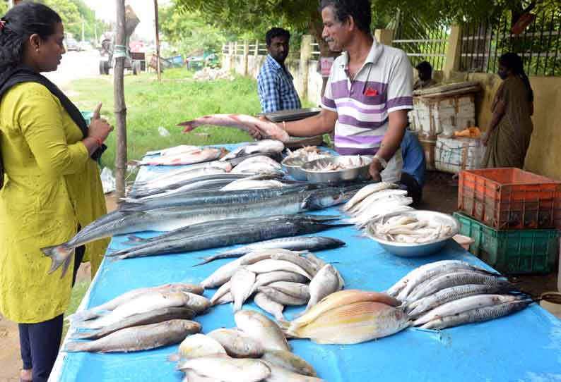 மீன் விற்பனையாளர்களுக்கு வட்டி இல்லா தொழில் கடன்- மீனவ தொழிலாளர் சங்கம்