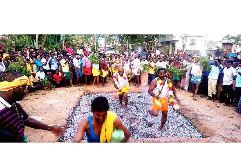 ஸ்ரீமுஷ்ணம் திரவுபதி அம்மன் கோவில் தீமிதி திருவிழா