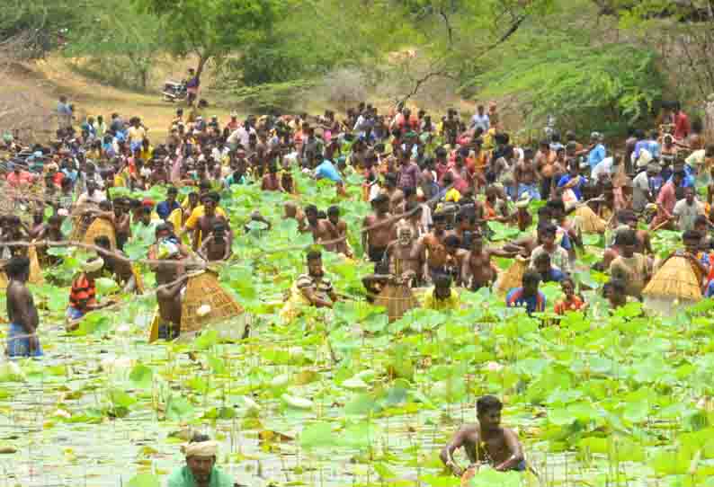 கண்மாயில் மீன்பிடி திருவிழா