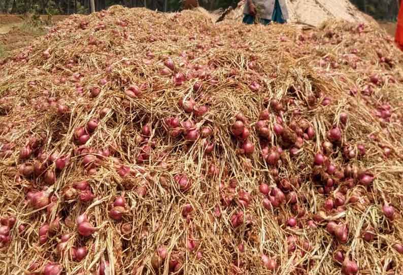 சின்ன வெங்காயம் விலை கடும் வீழ்ச்சி நிவாரணம் வழங்க விவசாயிகள் வலியுறுத்தல்