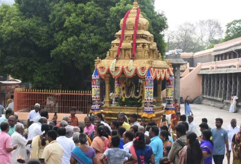 திருவண்ணாமலை அருணாச்சலேஸ்வரர் கோவிலில் தங்க ரதத்தில் எழுந்தருளிய சுவாமி-அம்பாள்...!