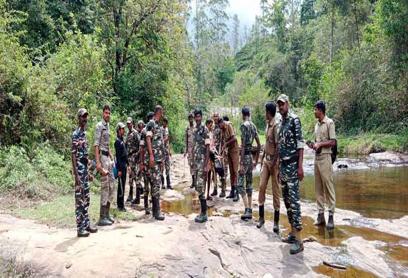 மாவோயிஸ்டு, நக்சலைட் நடமாட்டம் உள்ளதா வால்பாறை மலைப்பகுதியில் சிறப்பு அதிரடிப்படை கண்காணிப்பு