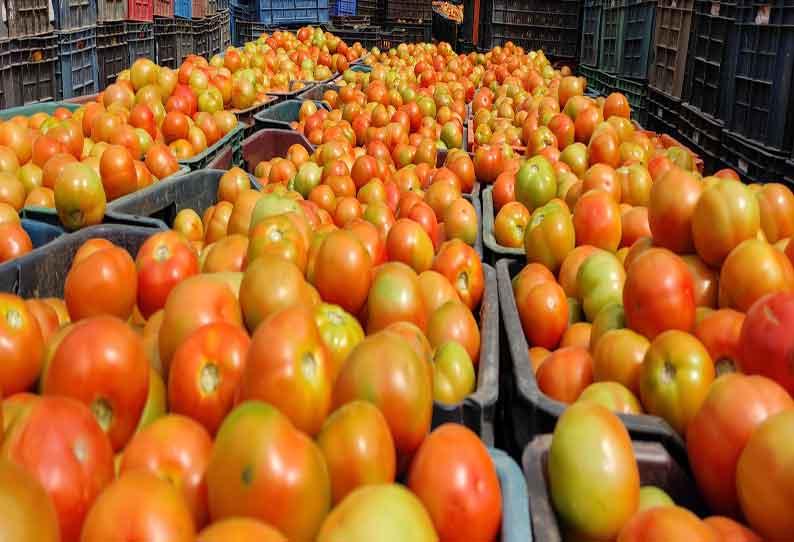 கிணத்துக்கடவு பகுதியில் தொடர் மழையால் தக்காளி விலை கிடு கிடு உயர்வு