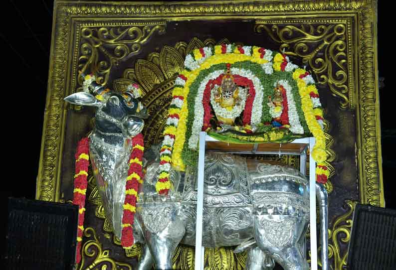 சித்திரை திருவிழாவையொட்டி கோட்டூரில் ஆதிசங்கரர் திருவீதி உலா