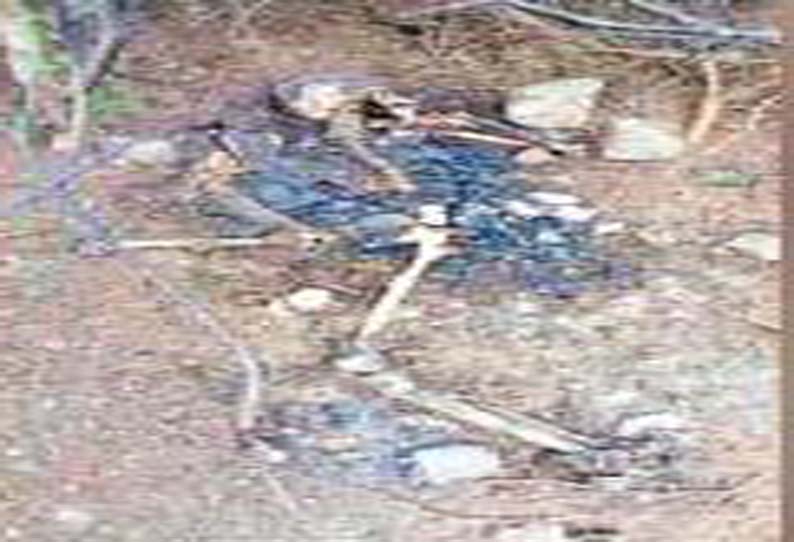 மதுக்கரையில் மர்மம் விலகாத மனித எலும்புக்கூடு