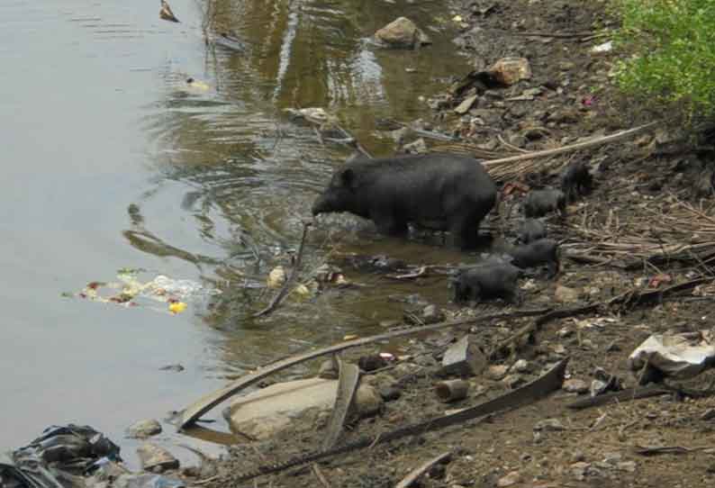 ஆழியாற்று தண்ணீர் மாசுபடுவது தடுக்கப்பட வேண்டும் என்று பொதுமக்கள் எதிர்பார்த்து உள்ளனர்