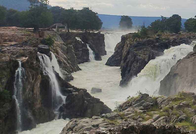 ஒகேனக்கல் காவிரி ஆற்றில் நீர்வரத்து 4 ஆயிரம் கன அடியாக உயர்வு