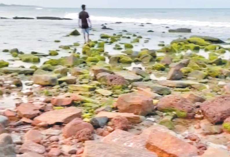 மாமல்லபுரத்தில் கடல் திடீரென உள்வாங்கியது