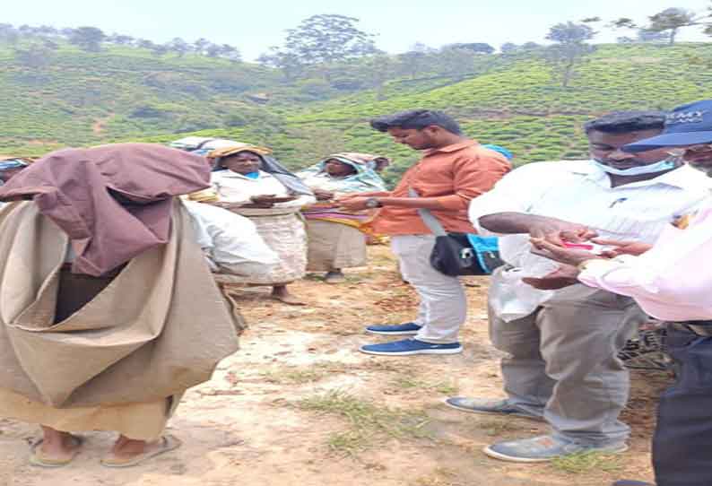 வால்பாறையில் எலிக்காய்ச்சலை தடுக்கும் வகையில் முகாம் அமைத்து 65 தொழிலாளர்களிடம் ரத்த மாதிரி சேகரிக்கப்பட்டது