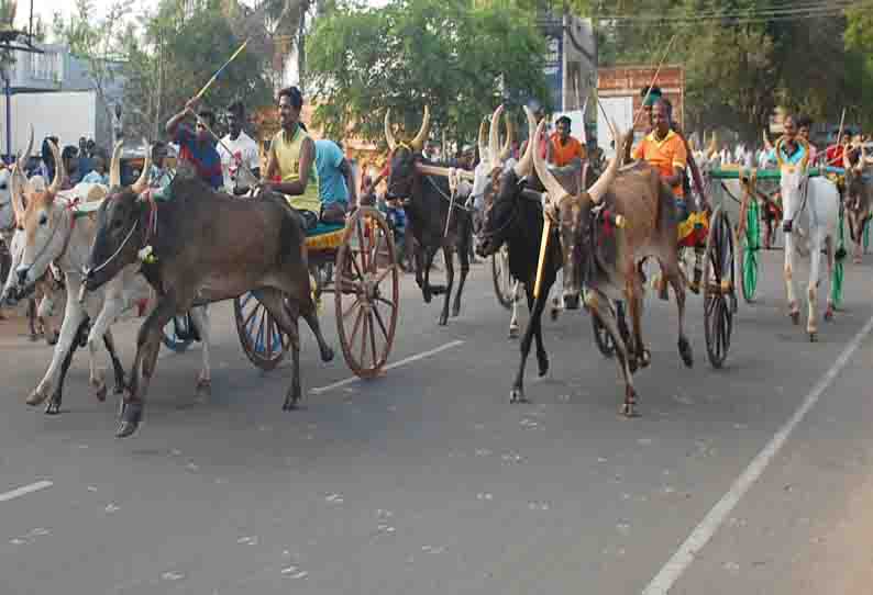 திருப்பத்தூர் பூமாயி அம்மன் கோவில் திருவிழா:இலக்கை நோக்கி சீறிப்பாய்ந்த மாட்டு வண்டிகள்