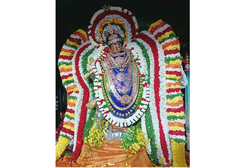 நடராஜருக்கு சிறப்பு அலங்காரம்