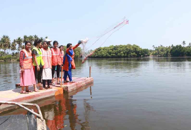 மாங்குரோவ் காடுகளில் மாணவிகள் விழிப்புணர்வு பயணம்