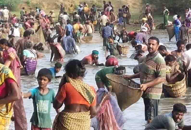 காரைக்குடி, திருப்பத்தூர் பகுதியில் களை கட்டிய பாரம்பரிய மீன்பிடி திருவிழா