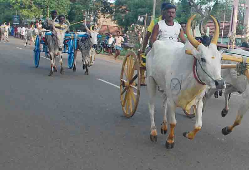 சீறி பாய்ந்த மாட்டு வண்டிகள்