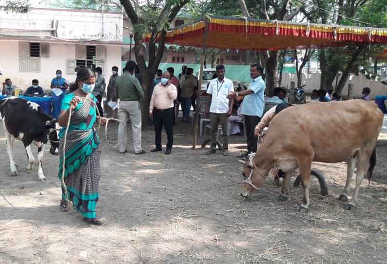 கால்நடை பராமரிப்பு உதவியாளர் பணியிடத்திற்கான நேர்காணல்