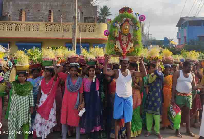 கறம்பக்குடி காசாம்பூ நீலமேனி கருப்பர் கோவிலில்  முளைப்பாரி திருவிழா திரளான பெண்கள் கலந்து கொண்டனர்