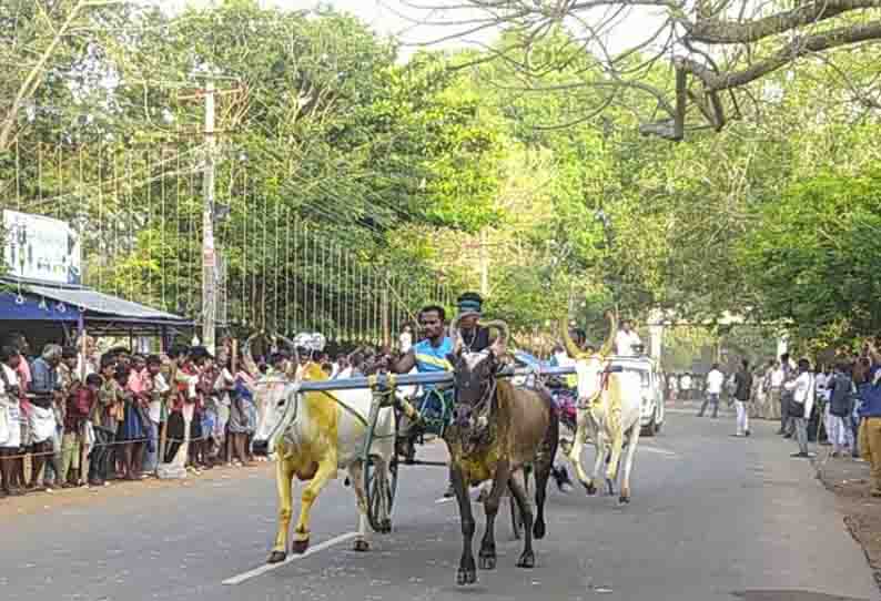 அறந்தாங்கி அருகே மாடு-குதிரை வண்டி பந்தயம்