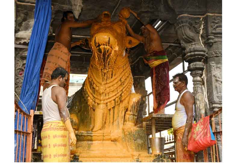 பெரிய நந்திக்கு சிறப்பு அபிஷேகம்