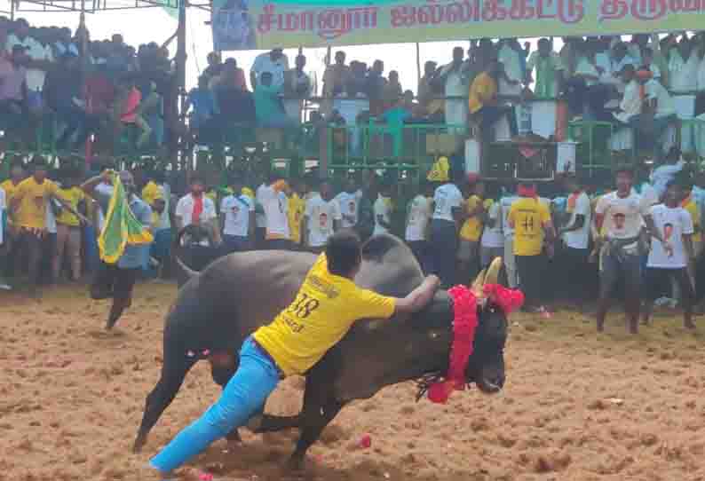 சீமானூரில் ஜல்லிக்கட்டு: காளைகளை வீரர்கள் போட்டிப்போட்டு அடக்கினர் 23 பேர் காயம்