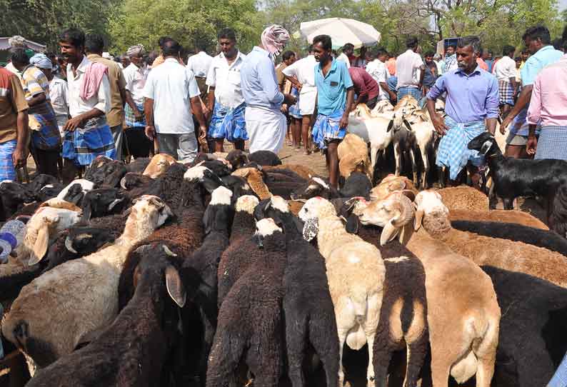 ரம்ஜான் பண்டிகையை முன்னிட்டு குந்தாரப்பள்ளி வாரச்சந்தையில் ரூ3½ கோடிக்கு ஆடுகள் விற்பனை