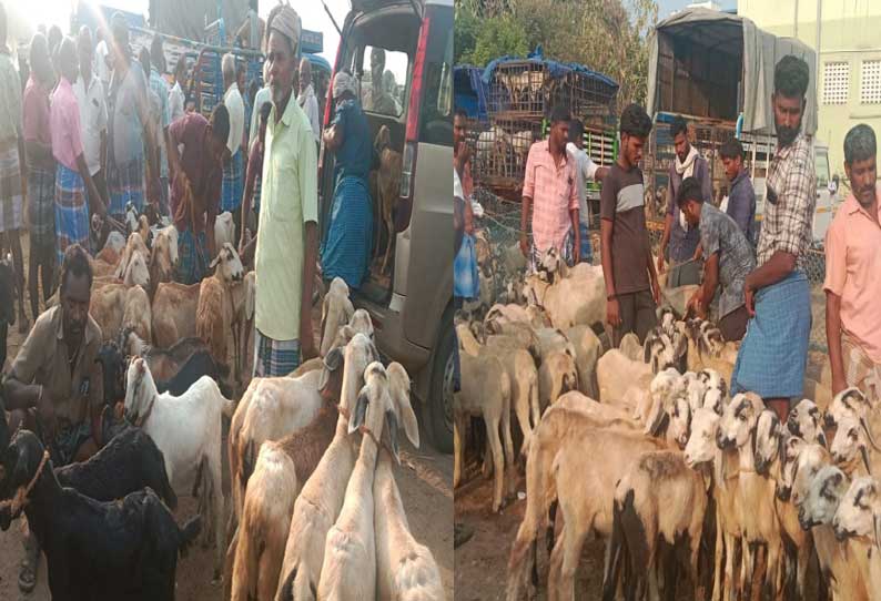 சமயபுரம் ஆட்டுச்சந்தையில் ரூ.1 கோடிக்கு ஆடுகள் விற்பனை - வியாபாரிகள் மகிழ்ச்சி...!