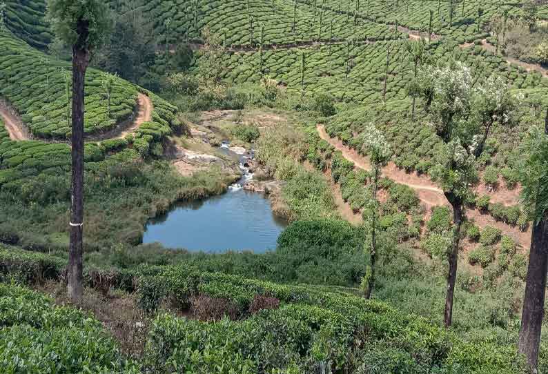 வால்பாறையில் ஆறுகள் நீரோடைகள் வறண்டன வால்பாறையில் ஆறுகள் நீரோடைகள் வறண்டன