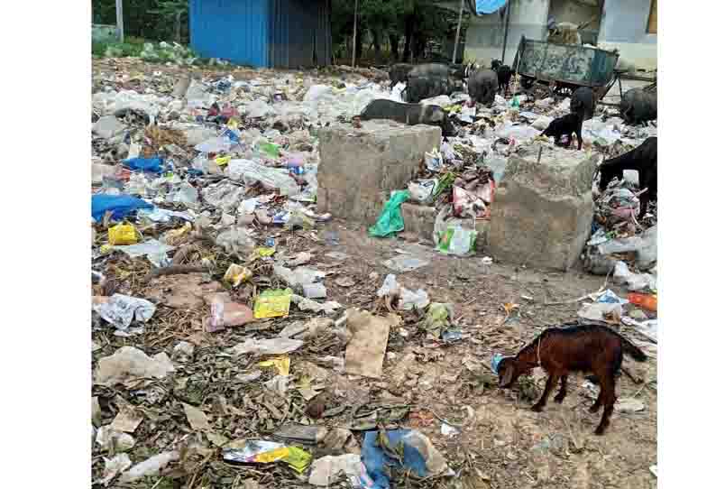 ‘தினத்தந்தி’ புகார் பெட்டி