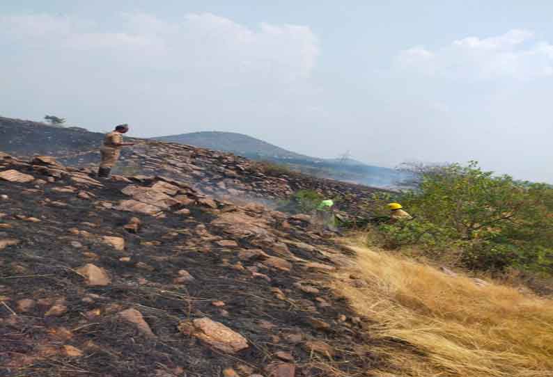 சென்னிமலை வனப்பகுதியில் திடீர் தீ- 5 ஏக்கர் பரப்பளவிலான செடி-கொடிகள் எரிந்து நாசம்