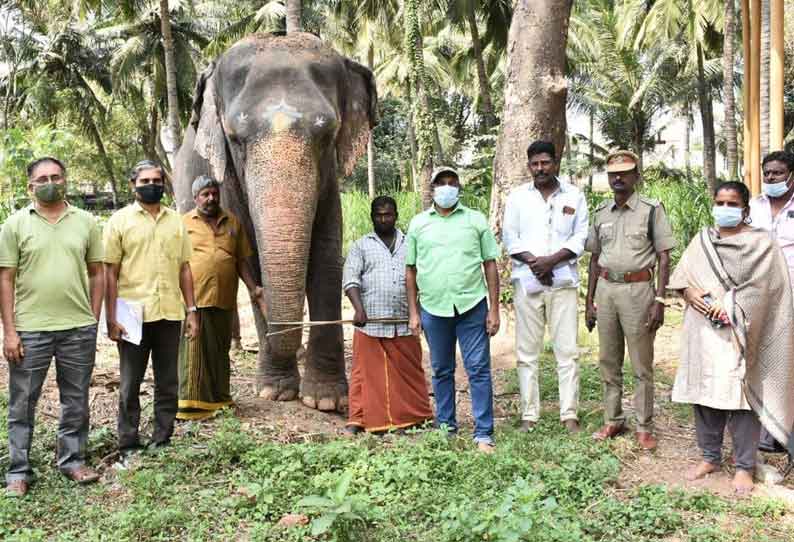 மாயூரநாதர் கோவில் யானை பராமரிப்பு குறித்து சிறப்புக்குழுவினர் ஆய்வு