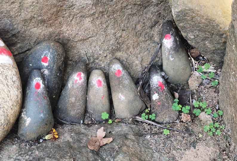 திருப்பத்தூர் அருகே 5 ஆயிரம் ஆண்டுகள் பழமையான கற்கோடாரிகள் கண்டெடுப்பு