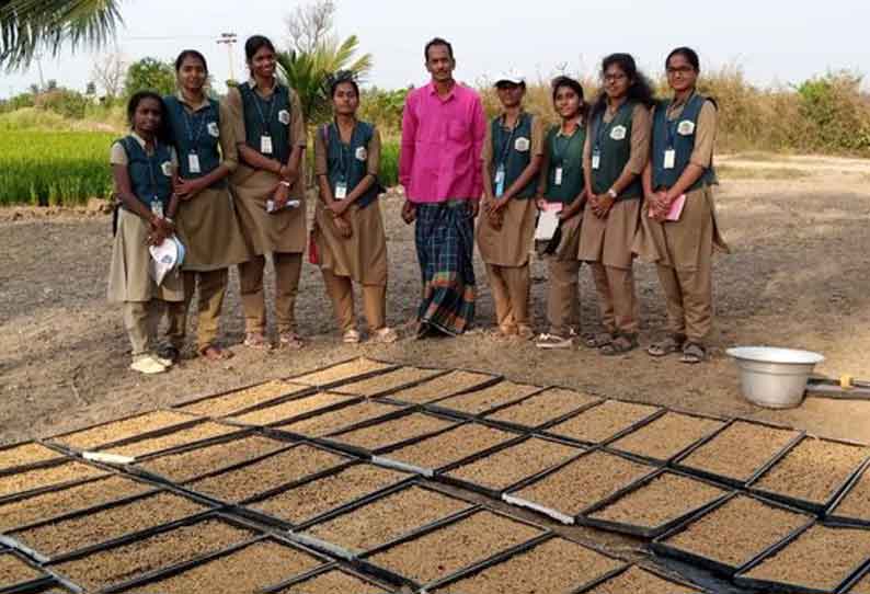 வேளாண் கல்லூரி மாணவிகளுக்கு பாய் நாற்றங்கால் தயாரிக்கும் பயிற்சி