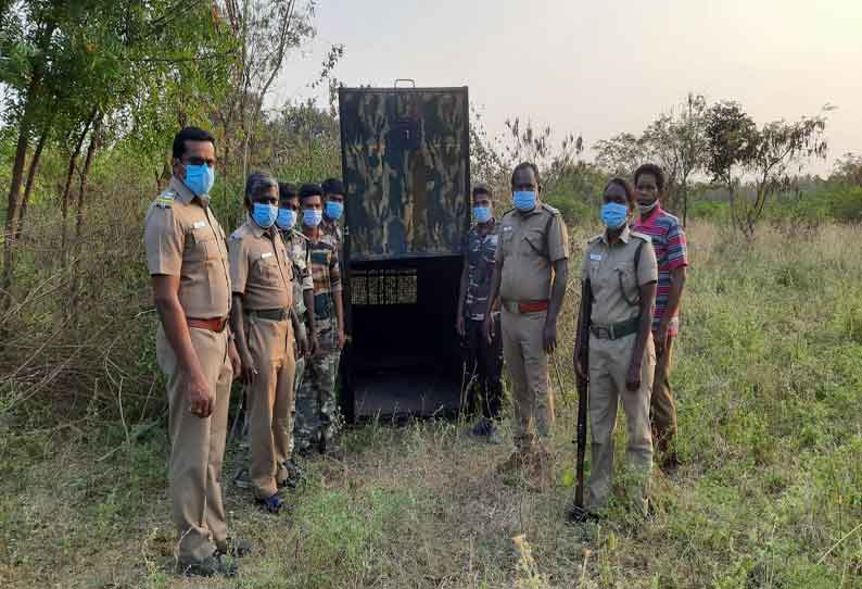 சிறுத்தையை பிடிக்க கூண்டு