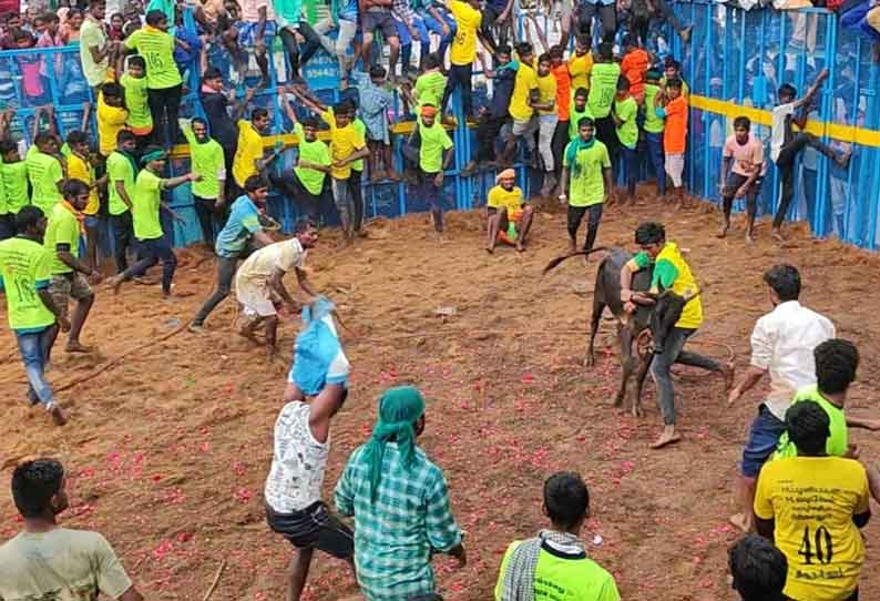 ஜல்லிக்கட்டு காளை முட்டியதில் திருச்சி வாலிபர் பலி