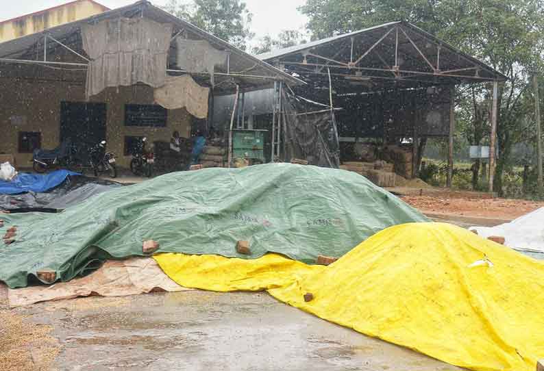 சம்பா அறுவடை பணி பாதிப்பு