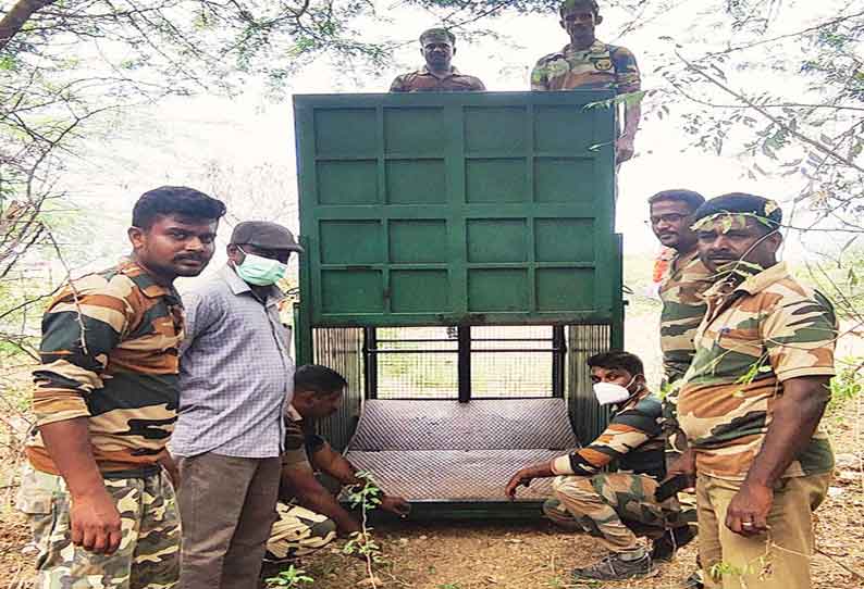 நம்பியூர் பகுதியில் அட்டகாசம் செய்து வரும் சிறுத்தையை பிடிக்க 3 இடங்களில் கூண்டு வைப்பு